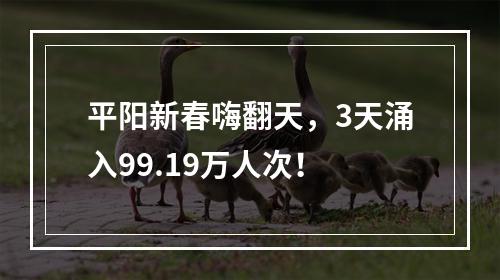 平阳新春嗨翻天，3天涌入99.19万人次！