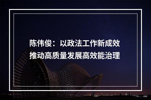 陈伟俊：以政法工作新成效 推动高质量发展高效能治理