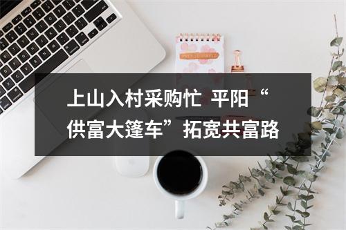 上山入村采购忙  平阳“供富大篷车”拓宽共富路