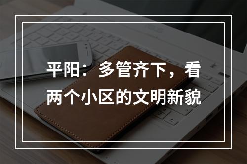 平阳：多管齐下，看两个小区的文明新貌