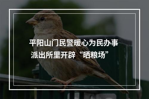 平阳山门民警暖心为民办事  派出所里开辟“晒粮场”