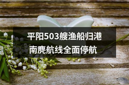 平阳503艘渔船归港 南麂航线全面停航