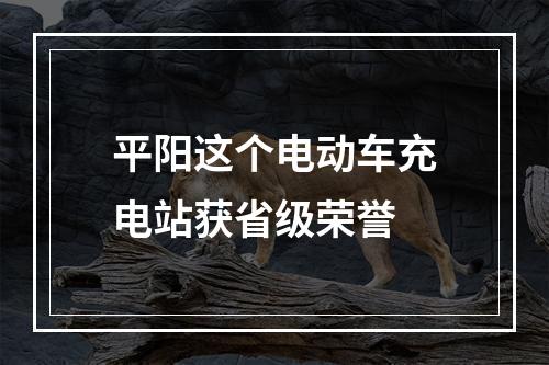 平阳这个电动车充电站获省级荣誉