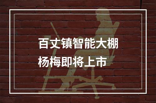 百丈镇智能大棚杨梅即将上市