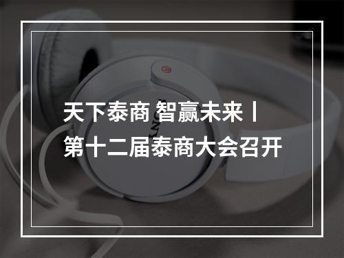 天下泰商 智赢未来丨第十二届泰商大会召开