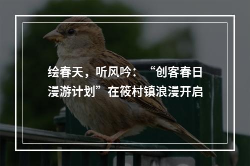 绘春天，听风吟：“创客春日漫游计划”在筱村镇浪漫开启
