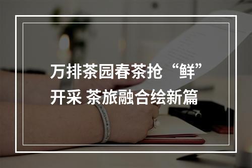 万排茶园春茶抢“鲜”开采 茶旅融合绘新篇