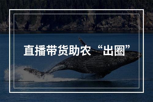 直播带货助农“出圈”