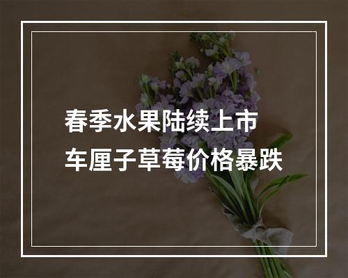 春季水果陆续上市 车厘子草莓价格暴跌