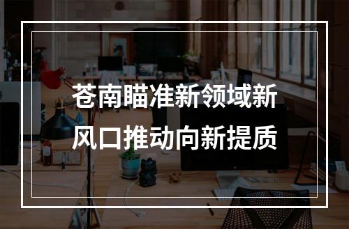 苍南瞄准新领域新风口推动向新提质