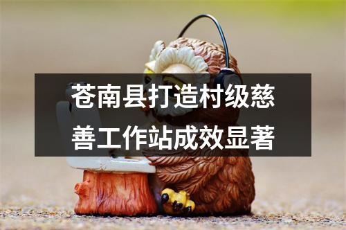 苍南县打造村级慈善工作站成效显著