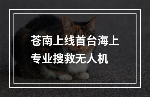 苍南上线首台海上专业搜救无人机