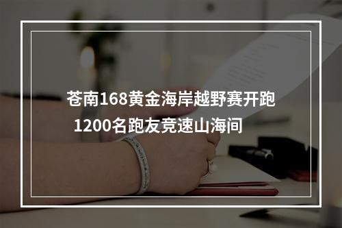 苍南168黄金海岸越野赛开跑  1200名跑友竞速山海间