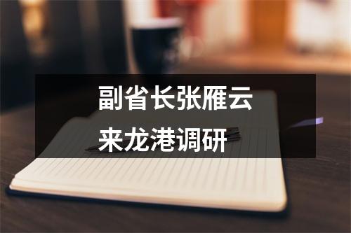副省长张雁云来龙港调研