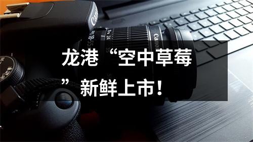 龙港“空中草莓”新鲜上市！