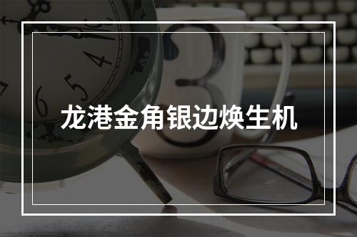 龙港金角银边焕生机