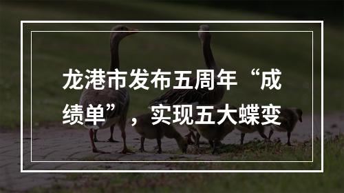 龙港市发布五周年“成绩单”，实现五大蝶变