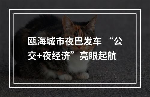 瓯海城市夜巴发车 “公交+夜经济”亮眼起航
