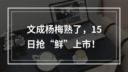 文成杨梅熟了，15日抢“鲜”上市！