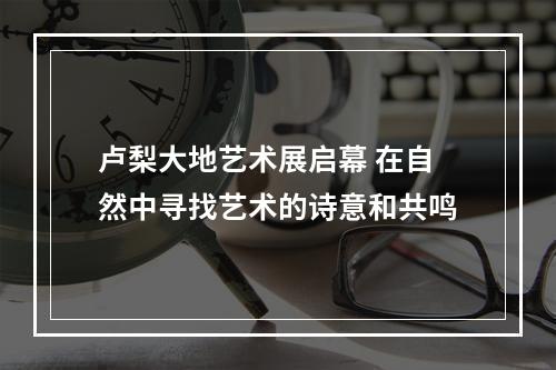 卢梨大地艺术展启幕 在自然中寻找艺术的诗意和共鸣