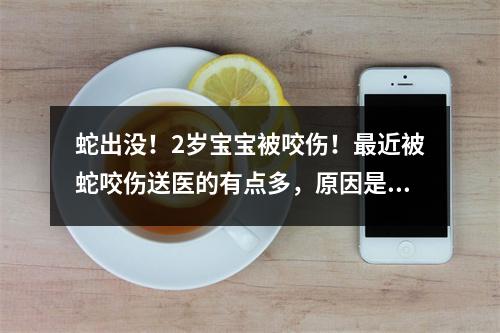 蛇出没！2岁宝宝被咬伤！最近被蛇咬伤送医的有点多，原因是…