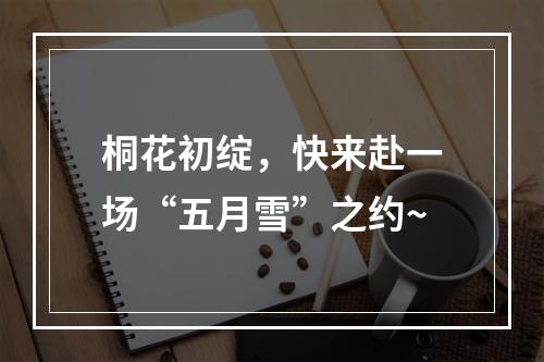 桐花初绽，快来赴一场“五月雪”之约~