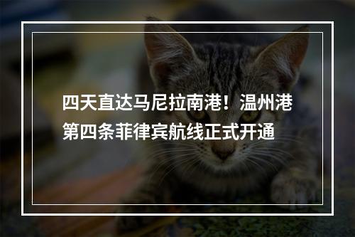 四天直达马尼拉南港！温州港第四条菲律宾航线正式开通