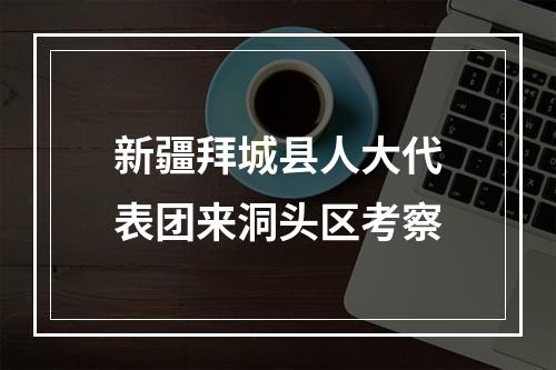 新疆拜城县人大代表团来洞头区考察
