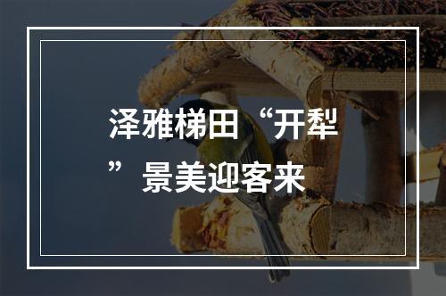 泽雅梯田“开犁”景美迎客来