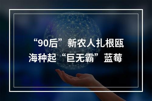 “90后”新农人扎根瓯海种起“巨无霸”蓝莓