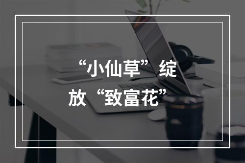 “小仙草”绽放“致富花”