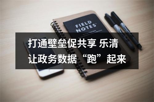 打通壁垒促共享 乐清让政务数据“跑”起来