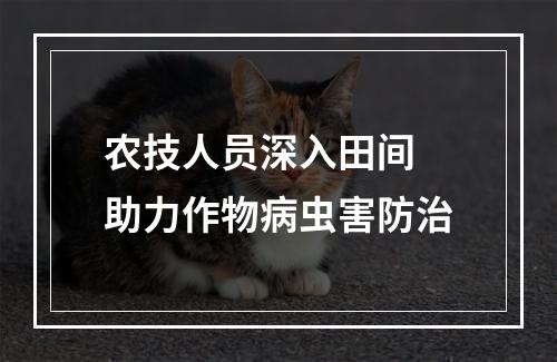 农技人员深入田间 助力作物病虫害防治