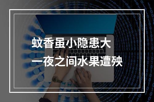 蚊香虽小隐患大 一夜之间水果遭殃