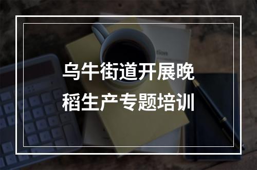 乌牛街道开展晚稻生产专题培训