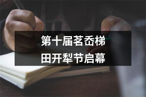 第十届茗岙梯田开犁节启幕