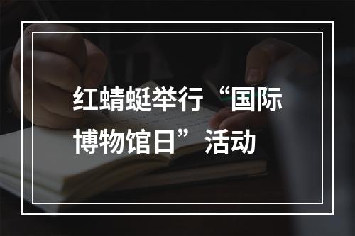红蜻蜓举行“国际博物馆日”活动