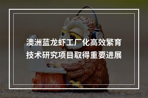 澳洲蓝龙虾工厂化高效繁育技术研究项目取得重要进展