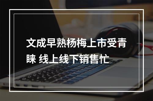文成早熟杨梅上市受青睐 线上线下销售忙