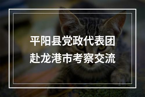 平阳县党政代表团赴龙港市考察交流