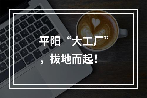 平阳“大工厂”，拔地而起！