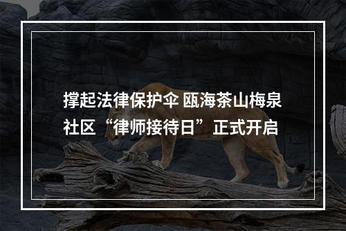 撑起法律保护伞 瓯海茶山梅泉社区“律师接待日”正式开启
