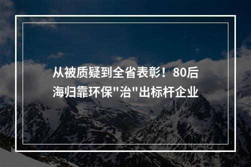 从被质疑到全省表彰！80后海归靠环保