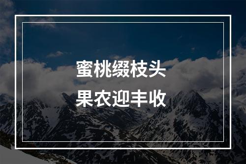 蜜桃缀枝头 果农迎丰收