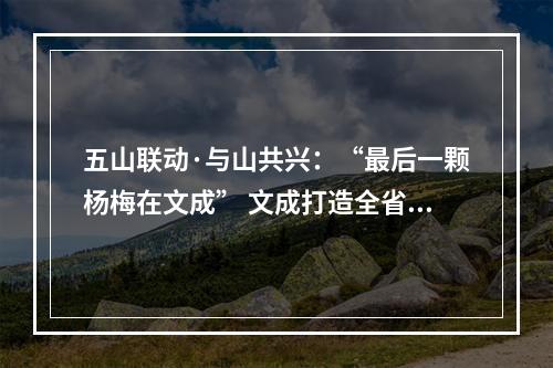 五山联动·与山共兴：“最后一颗杨梅在文成” 文成打造全省最晚的杨梅产区