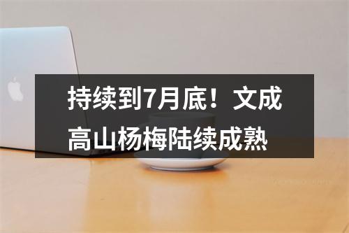 持续到7月底！文成高山杨梅陆续成熟