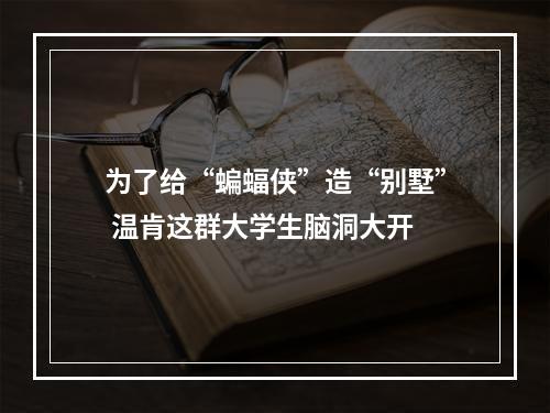 为了给“蝙蝠侠”造“别墅” 温肯这群大学生脑洞大开