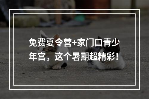 免费夏令营+家门口青少年宫，这个暑期超精彩！