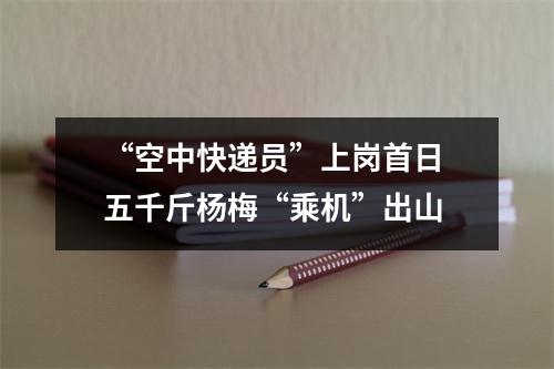 “空中快递员”上岗首日 五千斤杨梅“乘机”出山