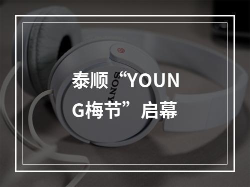 泰顺“YOUNG梅节”启幕